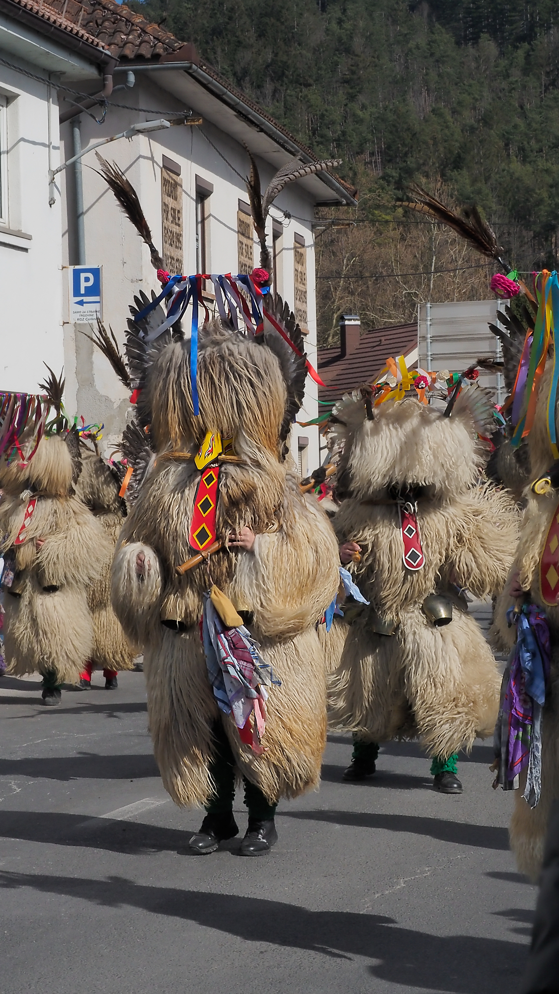 Z družino na pustno povorko